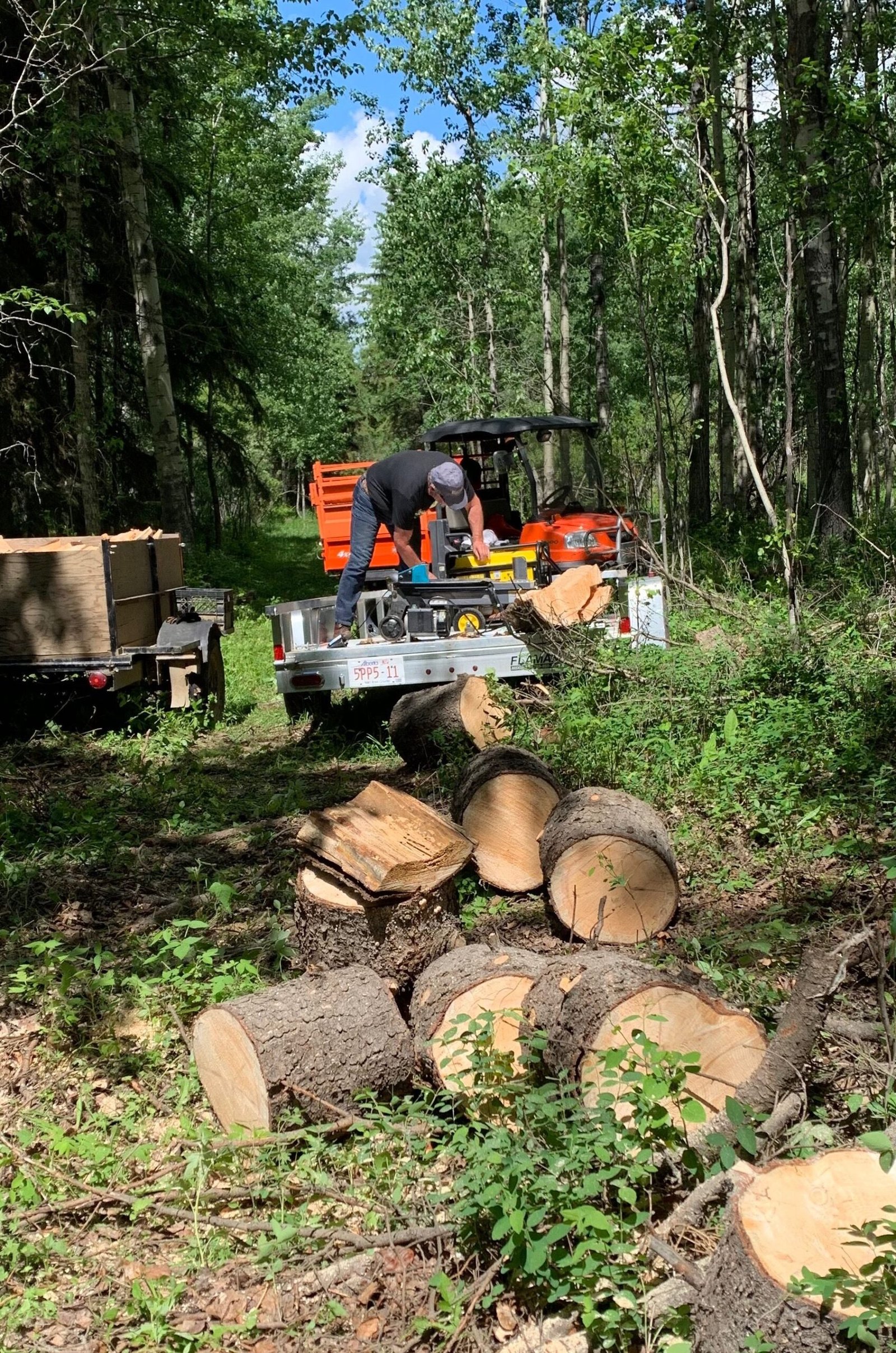 Joe's Holz – Holzaufbereitung im Schwarzwald
